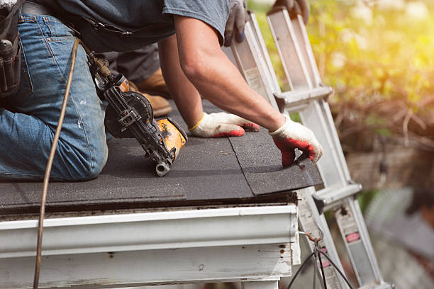 Best Roof Gutter Cleaning  in South Pekin, IL